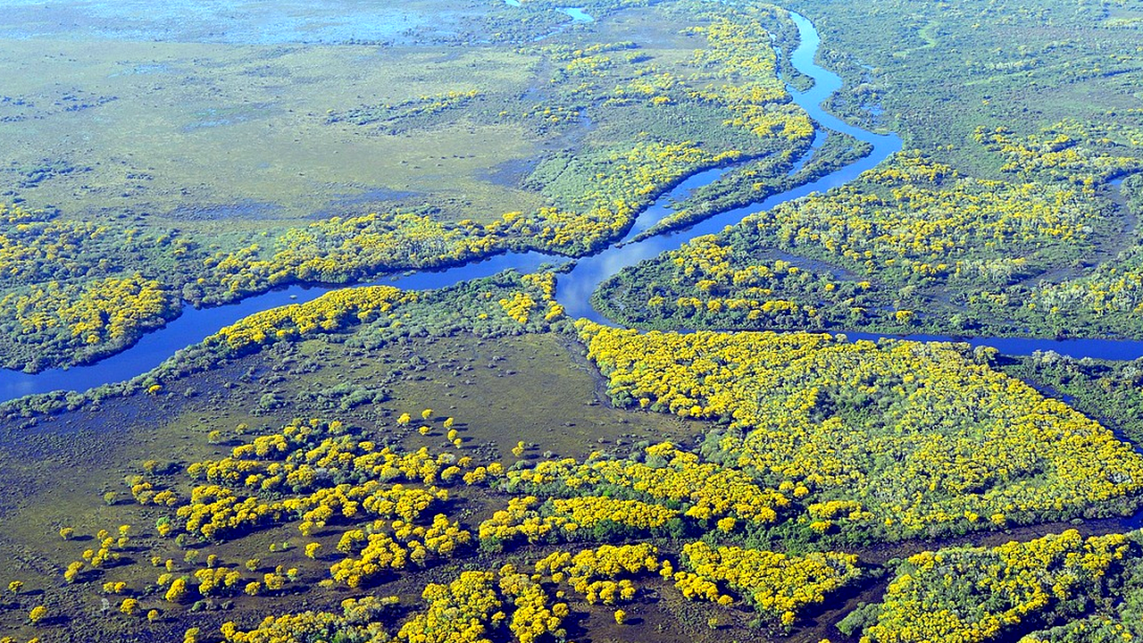 Brazilian culture and landscape detail