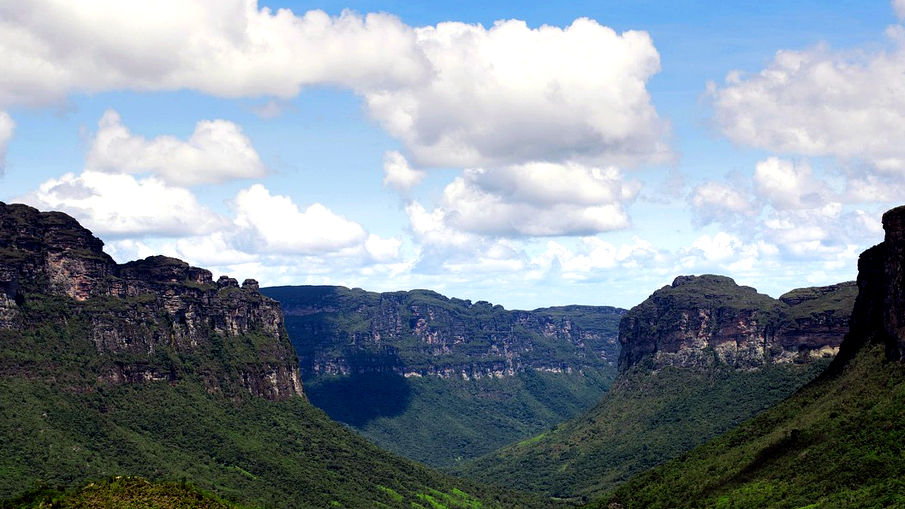 Brazilian culture and landscape detail