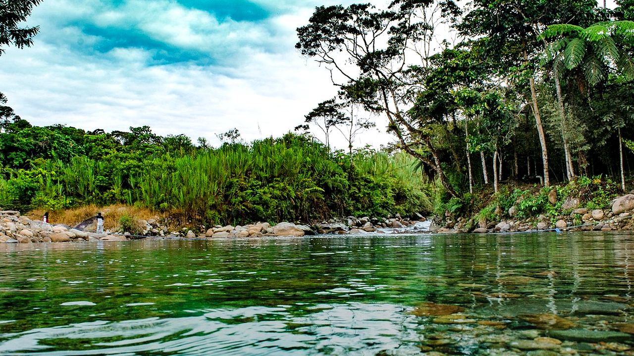 Brazilian culture and landscape detail