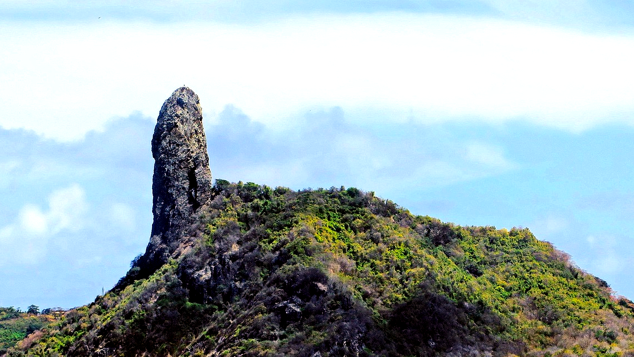 Brazilian culture and landscape detail